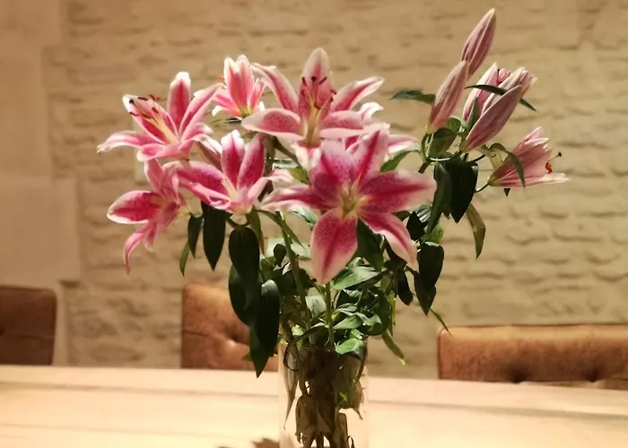 Tatil Evi Gold Beach Saint-Côme-de-Fresné